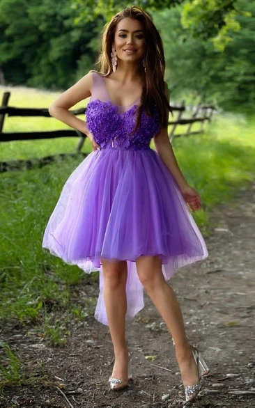 Tulle A Line Zipper Illusion Sleeveless with Appliques and Beading Homecoming Dress