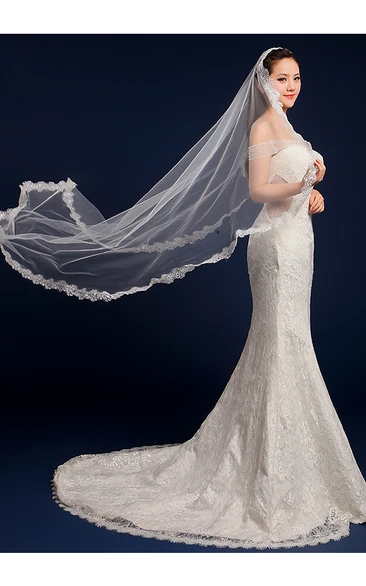 Long Tulle Wedding Veil with Lace Edge