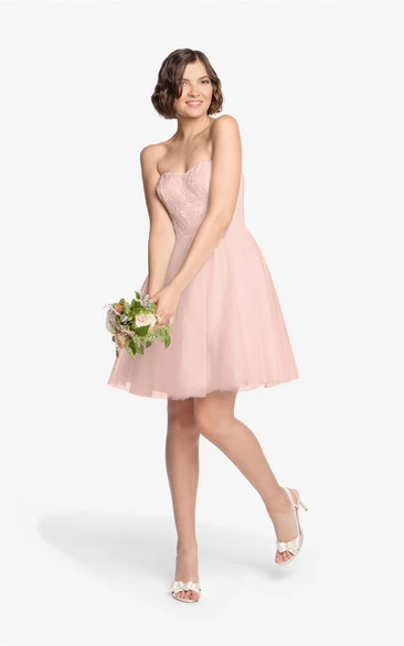 Tulle Short A-Line Dress With Lace Bodice