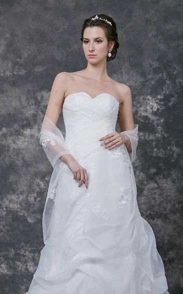 Organza Dress Shawl With Lace Appliques