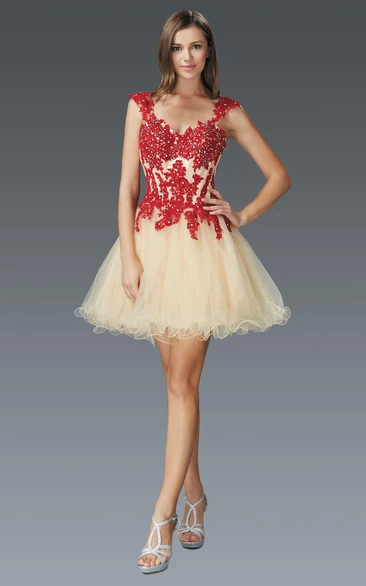 A-Line Short Queen Anne Tulle Dress With Appliques And Beading