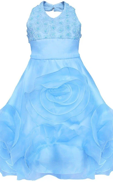 Sleeveless Haltered Appliqued Organza Dress With Flowers