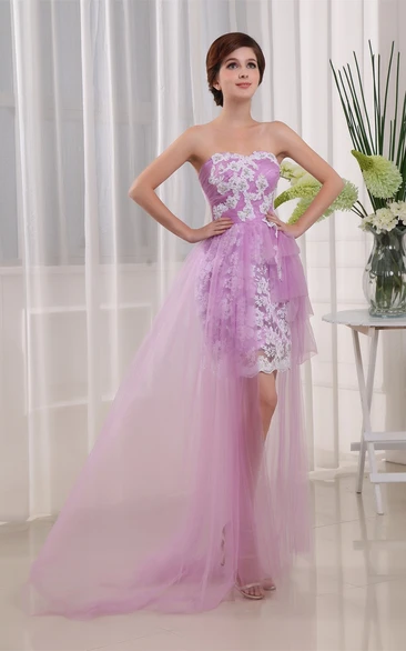 Sleeveless Fitted Short Tulle Dress With Appliques